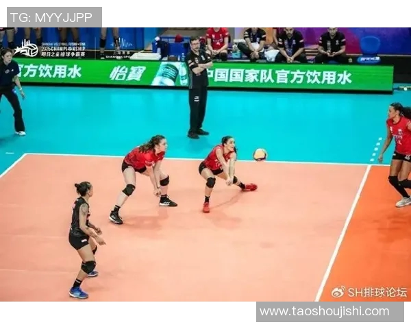 排球技术排行榜揭晓上海排球队荣登第十名引发热议