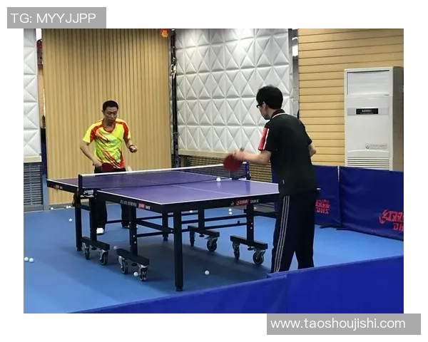 赵芳独家分享乒乓球技巧与心得助你提升球技的秘诀与经验