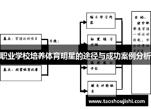 职业学校培养体育明星的途径与成功案例分析
